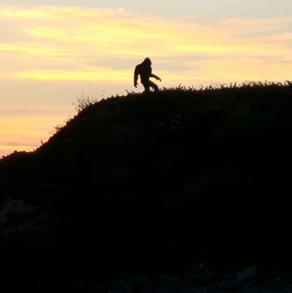 Meet your Posher, Darren - Picture 1 of 1